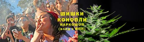 гидра Алексин