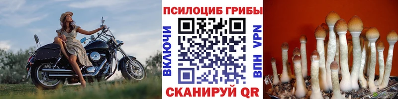 Галлюциногенные грибы ЛСД  Печоры 
